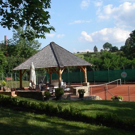 Chateau Radvanov Pension Mlada Vozice Extérieur photo