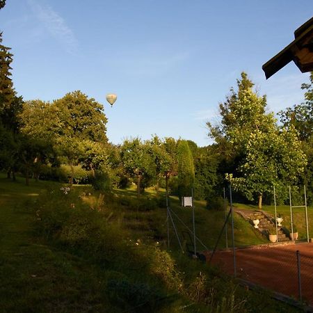 Chateau Radvanov Pension Mlada Vozice Extérieur photo