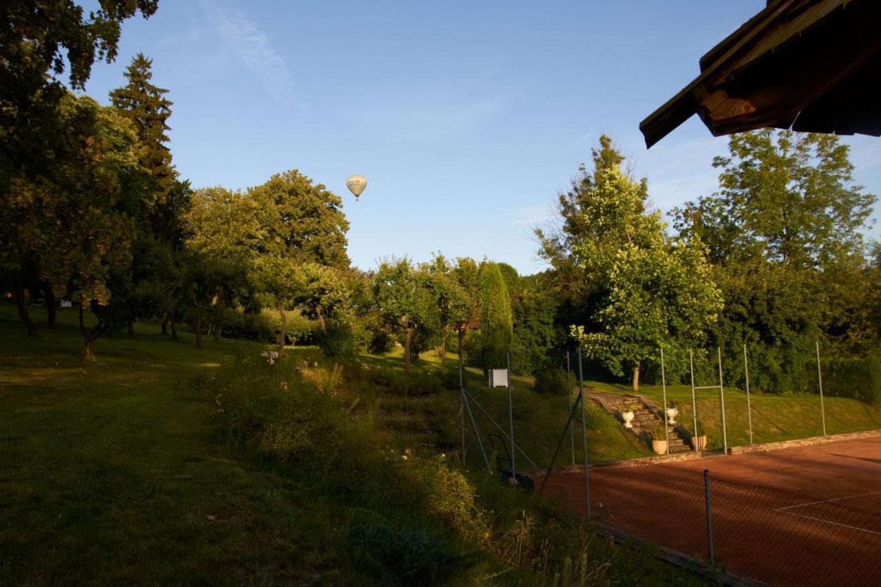 Chateau Radvanov Pension Mlada Vozice Extérieur photo